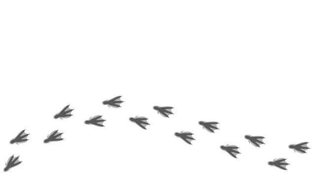 Loop animation of the black silhouette of the footprints of a bird.  Cartoon funny Penguin print along the path. Trajectories that follow the path of movement. Animation of Penguin tracks.