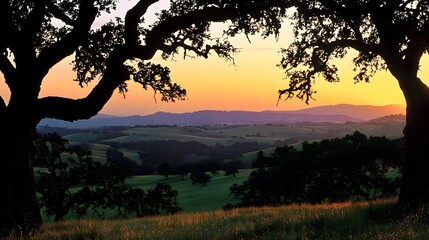Oak Tree Silhouettes at Sunset on Rolling Countryside Hills