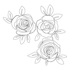 Roses. Isolated beautiful black and white rose with leaves on the corner for romantic card