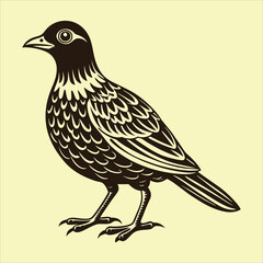 illustration of a bird