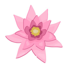 Abstract water lily plant. Lotus flower in cartoon style. Botanical clip art isolated on white. Single vector illustration.