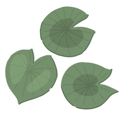 Abstract water lily plant in pond, green leaf pads. Lotus leaves in cartoon style. Botanical clip art isolated on white. Single vector illustration.