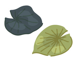 Abstract water lily plant in pond, green leaf pads. Lotus leaves in cartoon style. Botanical clip art isolated on white. Single vector illustration.