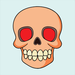 human skull illustration