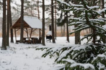 A place for a grill and a tent in a winter snowy forest.