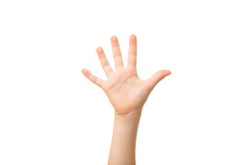 Little child hand showing five fingers isolated on white background. Front view.