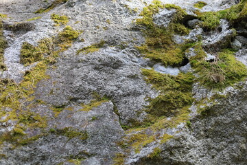The texture of the surface of the mineral stone covered with moss.