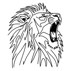 Fototapeta premium Lion portrait line art