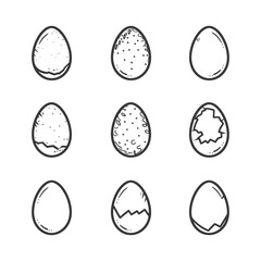 Hand drawn Egg Stages in Black and White