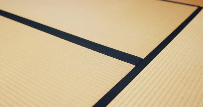 Japanese, flooring and interior with bamboo mat for tatami or traditional design at home. Empty, space and pattern with wood surface for texture, textile or natural material in Japan house or decor