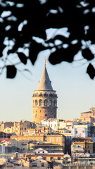 Naklejka premium Galata Tower framed by leaves and urban skyline under soft daylight
