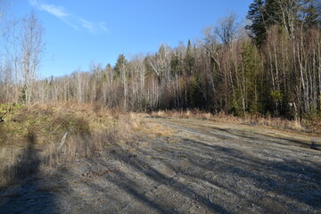 Sentier Père Buteux 15 Novembre 2024