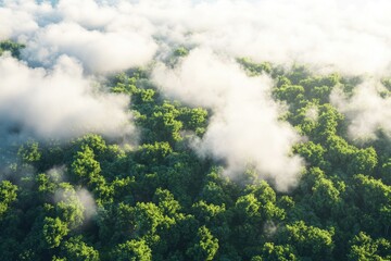A plane flies through the sky above a dense and vibrant green forest