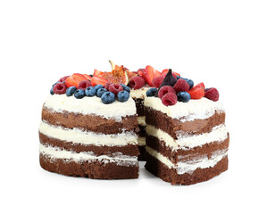 Cut delicious chocolate sponge cake with berries isolated on white