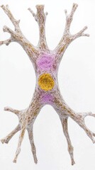 Naklejka premium 3D Render of Neuron Cell Structure with Nucleus and Dendrites