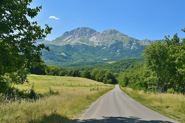 Fototapeta premium Serene Mountain Road Through Lush Green Landscape