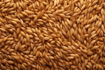 Wheat Texture, wheat grain texture, wheat Background, wheat Wallpaper, ears of wheat background, AI Generative