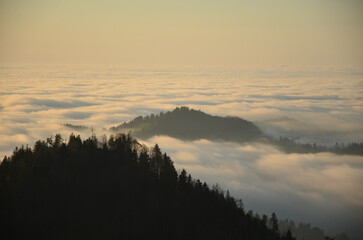 Obraz premium Sunset over the sea of ​​fog on the Schnebelhorn hill in the canton of Zurich. Beautiful evening atmosphere in the Zürich Oberland above the fog. High quality photo.