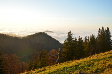 Sunset over the sea of ​​fog on the Schnebelhorn hill in the canton of Zurich. Beautiful evening atmosphere in the Zürich Oberland above the fog. High quality photo.