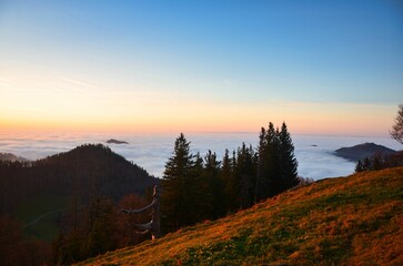 an island in the sea of ​​fog. an island in the sea of ​​fog. Beautiful autumn atmosphere...
