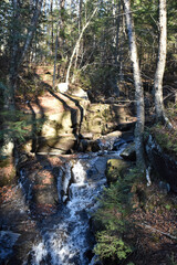 Sentier P&egrave;re Buteux 15 Novembre 2024
