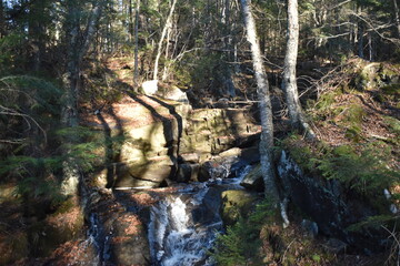 Sentier Père Buteux 15 Novembre 2024