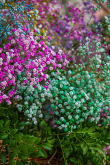 Closeup bouquet's of beautiful natural flowers, flower wall of a thousand styles and colors, Valencia flowers Fallas