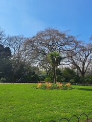 Scenic Park Views and Urban Landscapes in Canary Wharf London