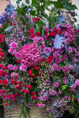 Mimosa, mimosa flowers, fullcolor mimosas flowers, mimosas flowers in her decoration basket