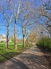 Obraz premium Scenic Park Views and Urban Landscapes in Canary Wharf London