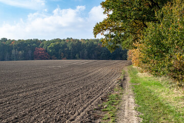 edge of fields and forest