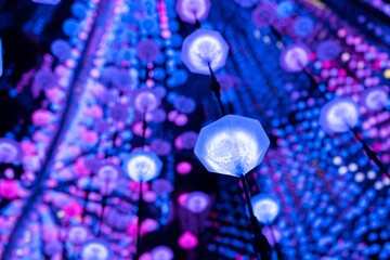 Artistic installation of glowing blue lights with pink accents creating a futuristic and immersive experience