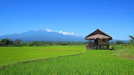 Obraz premium A scenic view of a traditional bamboo hut surrounded by expansive rice fields, with mountains in the distance and clear blue skies