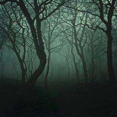 Ominous Fog-Enshrouded Forest Path Disappearing into Eerie Darkness
