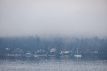 Foggy Morning at Gulf Islands Near Victoria, Vancouver Island