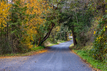 Naklejka premium Scenic Autumn Road Near Swartz Bay on Vancouver Island