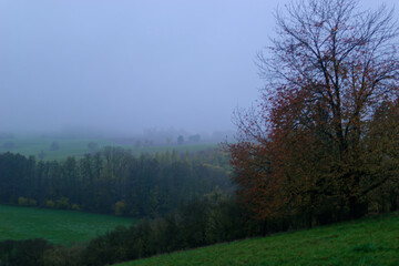 Fog outside the city on a cloudy autumn day in Bavaria.