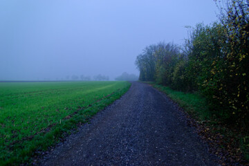 Fototapeta premium Fog outside the city on a cloudy autumn day in Bavaria.