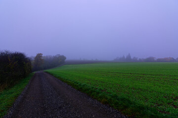 Fog outside the city on a cloudy autumn day in Bavaria.