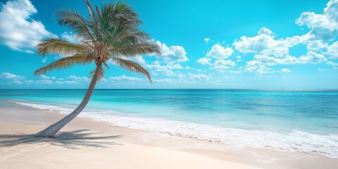 Obraz premium Tropical Paradise: Palm Tree on Island Beach