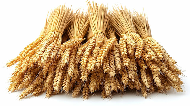 Golden Wheat Sheaves - Realistic Image