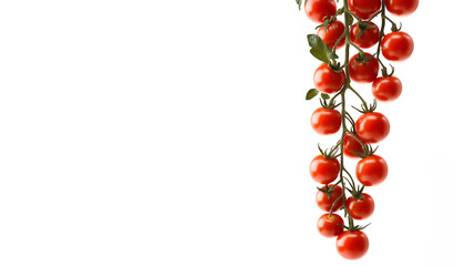 Vine-ripened cherry tomatoes, Vibrant red clusters, Fresh produce, White background, Hanging fruit, Organic vegetables, Botanical photography, High-contrast image, Food ingredients, Clean composition
