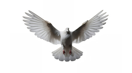 Fototapeta premium white dove in flight, wings fully spread, front view, angelic, peaceful, symbolic, pure white feathers, graceful posture, isolated on white background, high contrast, detailed plumage, spiritual