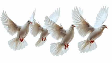Obraz premium Three White Doves in Flight Illustration