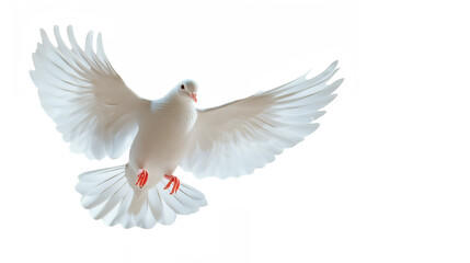 Fototapeta premium white dove in flight, wings fully spread, graceful pose, soft feathers, peaceful expression, ethereal lighting, heavenly glow, pale blue background, symbol of peace, spiritual imagery