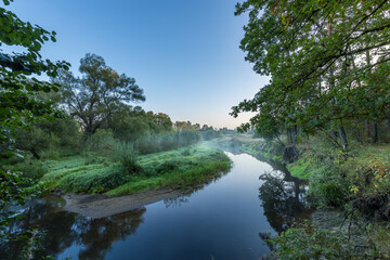 A river with trees on either side