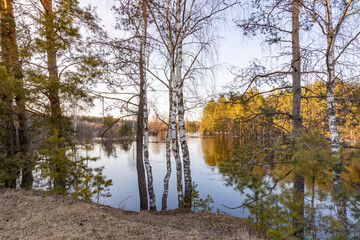 Obraz premium Serene scene of a lake surrounded by trees with a few trees in the foreground