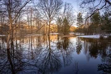 Lake with trees in the background