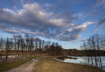 Road with a lot of trees and a body of water