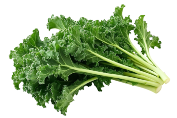 Chinese kale isolated png on a transparent background